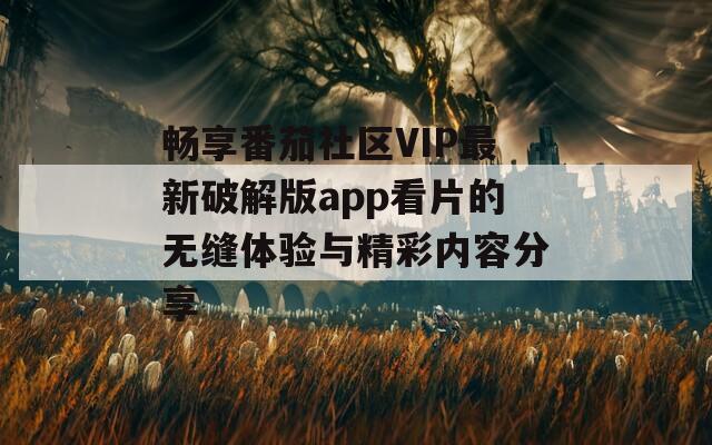 畅享番茄社区VIP最新破解版app看片的无缝体验与精彩内容分享