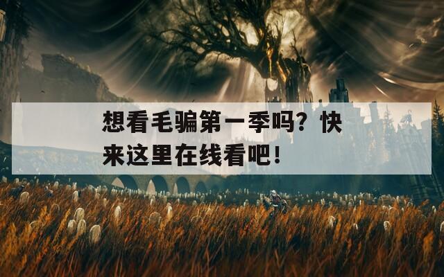 想看毛骗第一季吗？快来这里在线看吧！