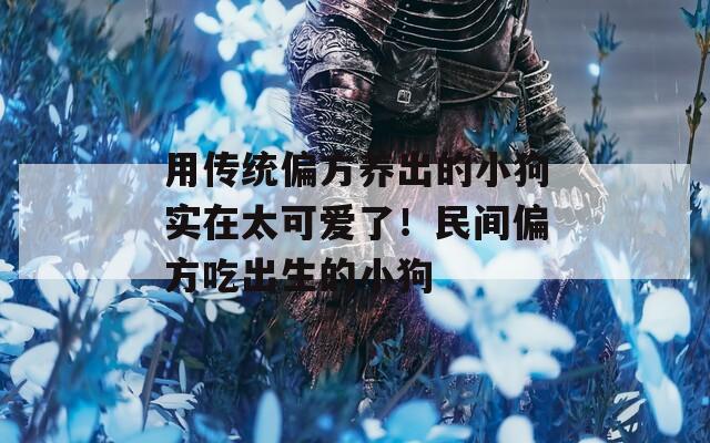 用传统偏方养出的小狗实在太可爱了！民间偏方吃出生的小狗