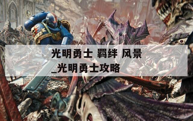 光明勇士 羁绊 风景_光明勇士攻略