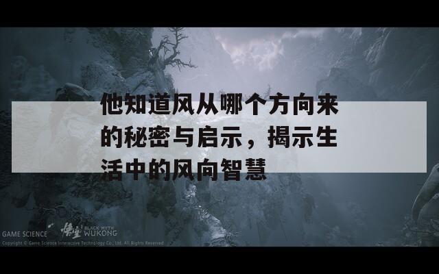 他知道风从哪个方向来的秘密与启示，揭示生活中的风向智慧