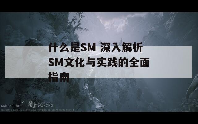 什么是SM 深入解析SM文化与实践的全面指南