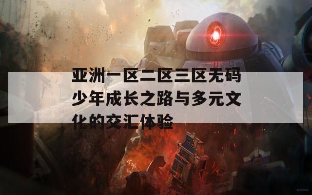 亚洲一区二区三区无码少年成长之路与多元文化的交汇体验  第1张