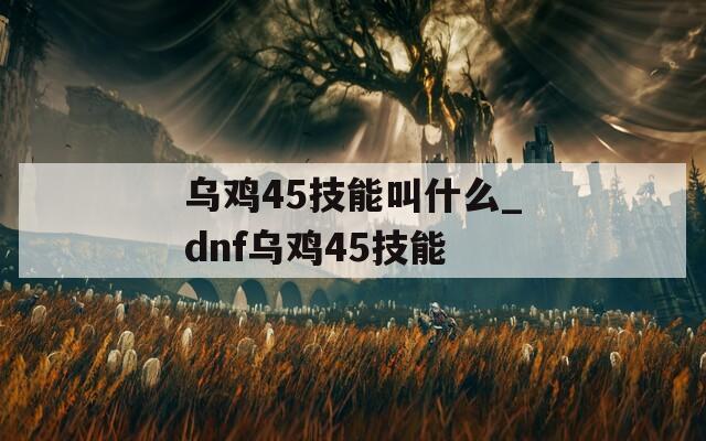 乌鸡45技能叫什么_dnf乌鸡45技能