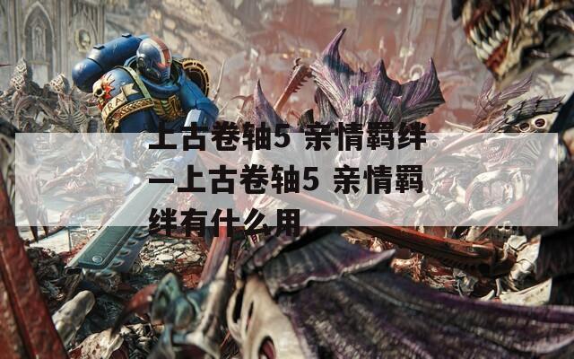 上古卷轴5 亲情羁绊—上古卷轴5 亲情羁绊有什么用