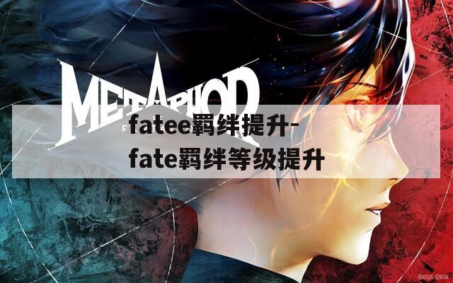 fatee羁绊提升-fate羁绊等级提升