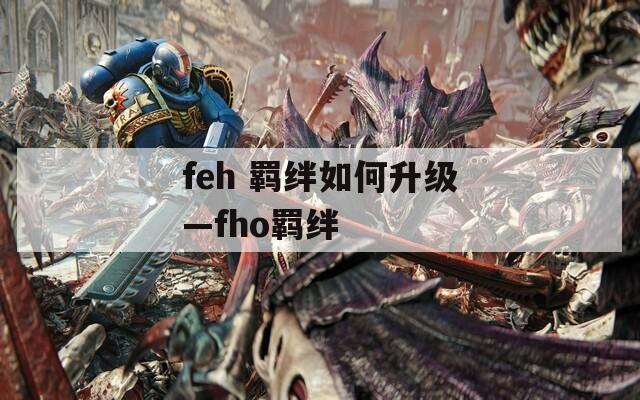 feh 羁绊如何升级—fho羁绊  第1张
