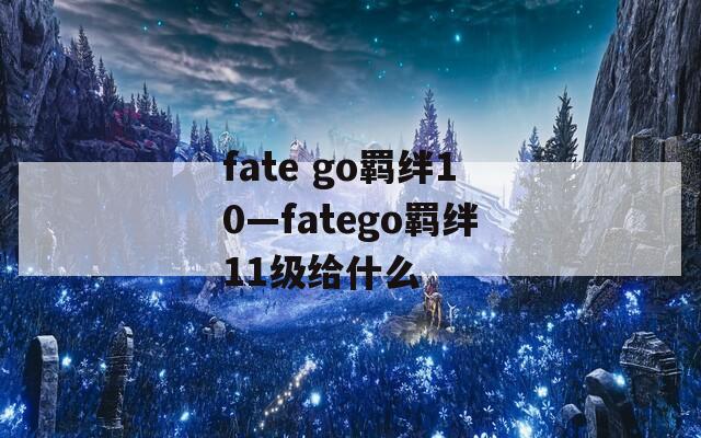 fate go羁绊10—fatego羁绊11级给什么