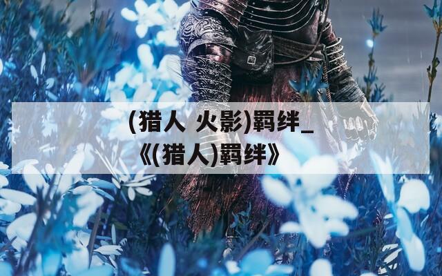 (猎人 火影)羁绊_《(猎人)羁绊》  第1张