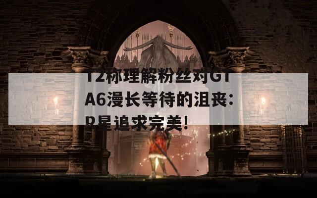 T2称理解粉丝对GTA6漫长等待的沮丧:R星追求完美!