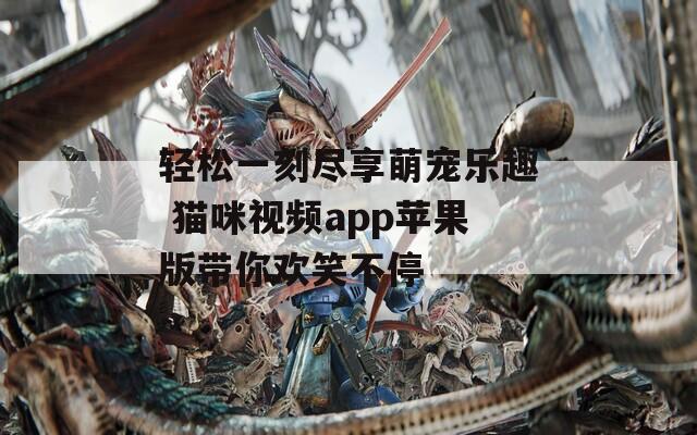 轻松一刻尽享萌宠乐趣 猫咪视频app苹果版带你欢笑不停