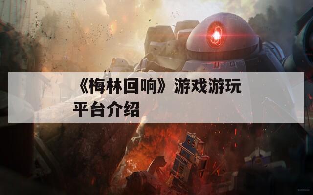 《梅林回响》游戏游玩平台介绍