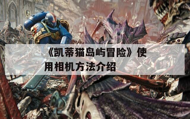 《凯蒂猫岛屿冒险》使用相机方法介绍