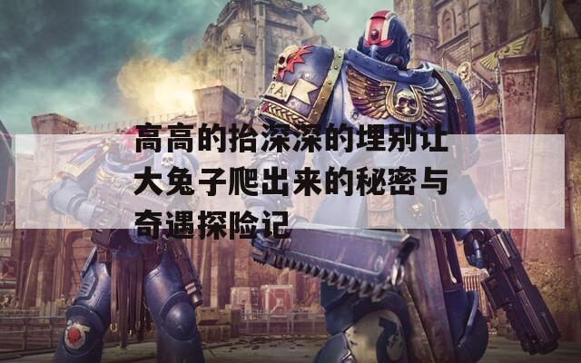 高高的抬深深的埋别让大兔子爬出来的秘密与奇遇探险记