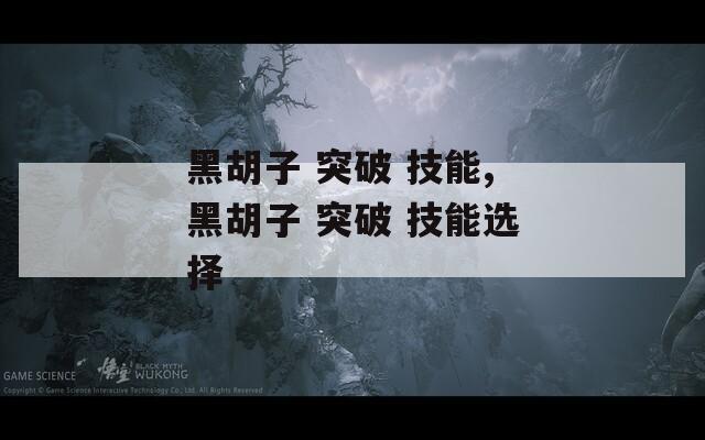 黑胡子 突破 技能,黑胡子 突破 技能选择