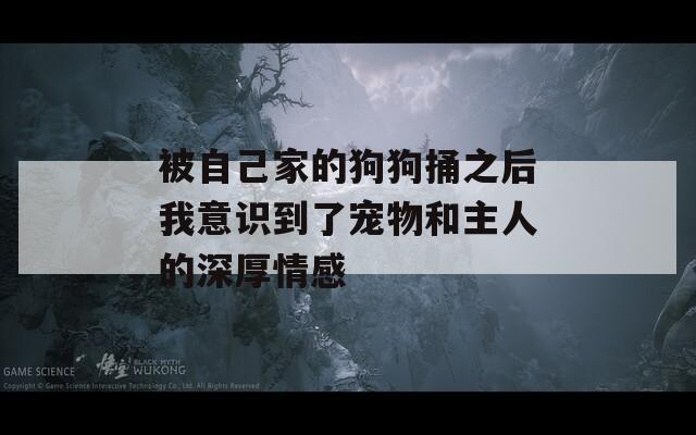 被自己家的狗狗捅之后我意识到了宠物和主人的深厚情感