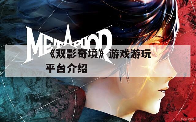 《双影奇境》游戏游玩平台介绍