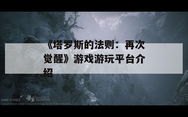 《塔罗斯的法则：再次觉醒》游戏游玩平台介绍