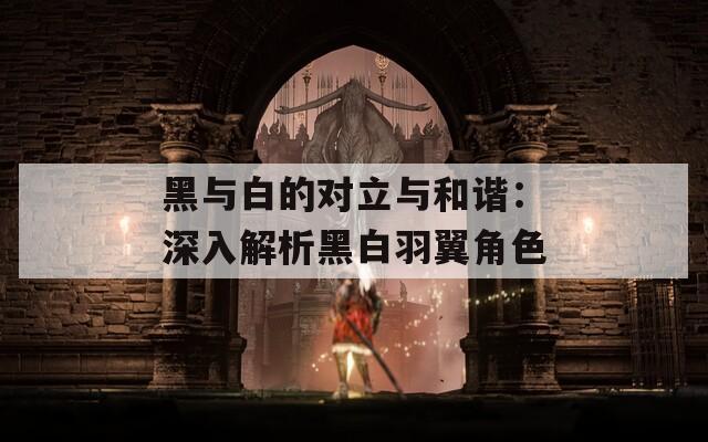 黑与白的对立与和谐：深入解析黑白羽翼角色