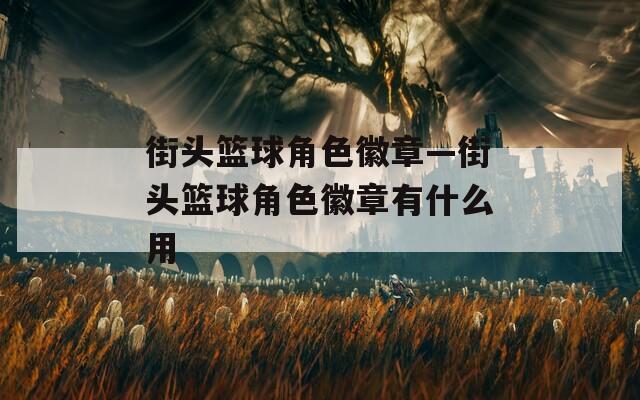 街头篮球角色徽章—街头篮球角色徽章有什么用  第1张