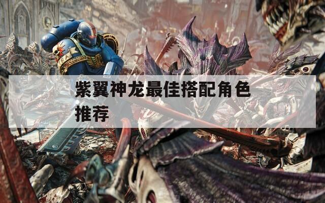 紫翼神龙最佳搭配角色推荐