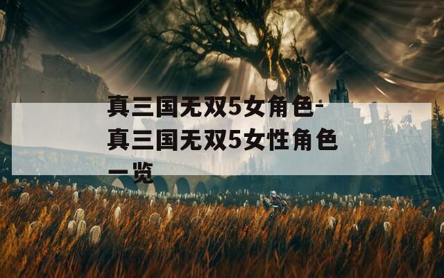 真三国无双5女角色-真三国无双5女性角色一览