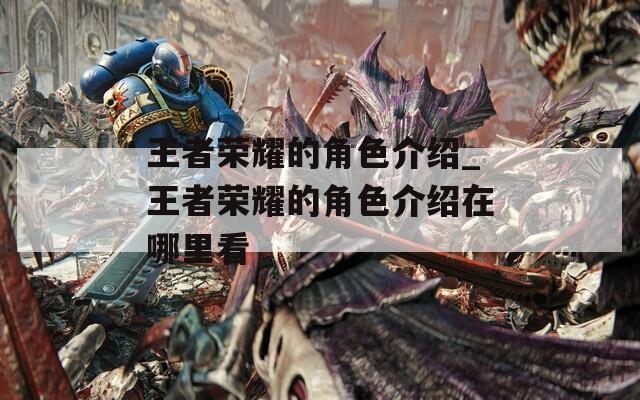 王者荣耀的角色介绍_王者荣耀的角色介绍在哪里看