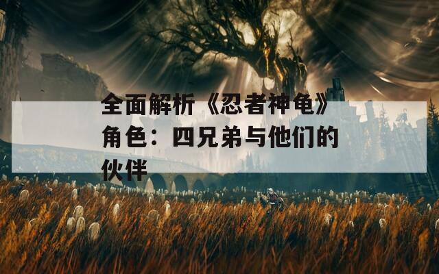 全面解析《忍者神龟》角色：四兄弟与他们的伙伴  第1张