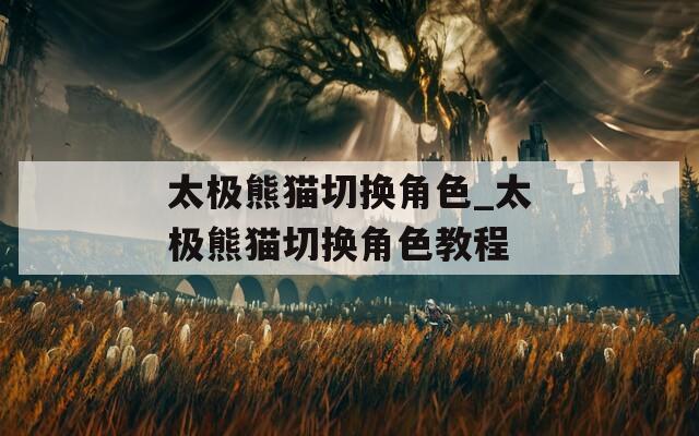 太极熊猫切换角色_太极熊猫切换角色教程