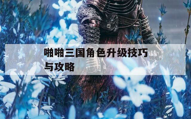 啪啪三国角色升级技巧与攻略