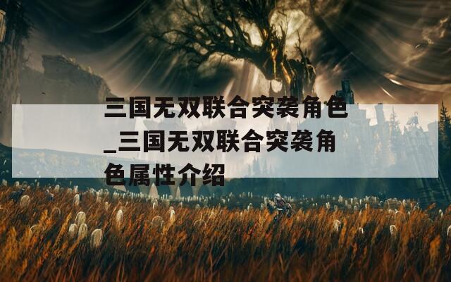 三国无双联合突袭角色_三国无双联合突袭角色属性介绍  第1张