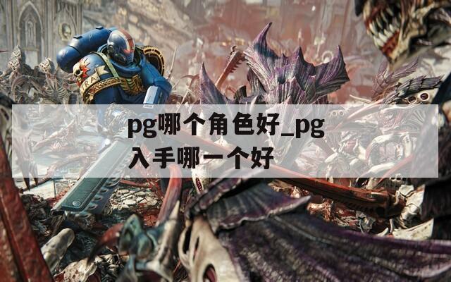 pg哪个角色好_pg入手哪一个好