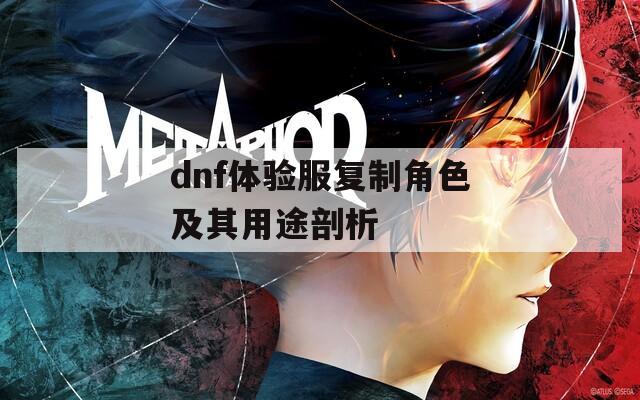 dnf体验服复制角色及其用途剖析